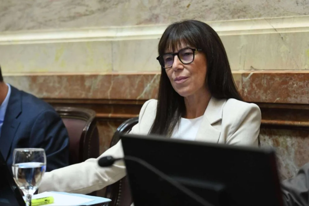 La representación neuquina busca consolidar su rol en la agenda nacional (Foto: archivo)