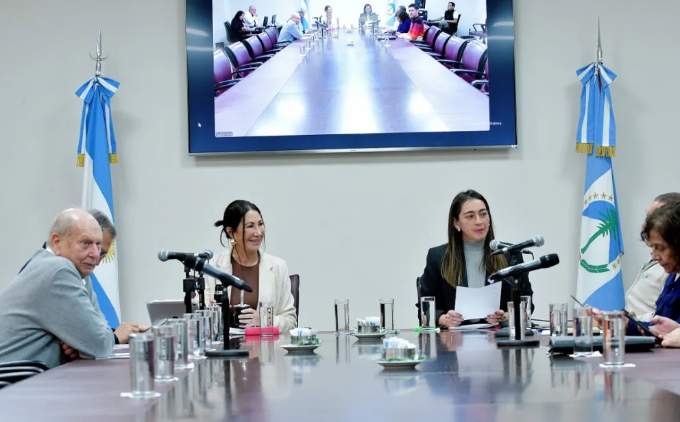 Avanza en la Legislatura el debate sobre la instalación de cámaras en las escuelas de Neuquén. Foto: Legislatura del Neuquén.