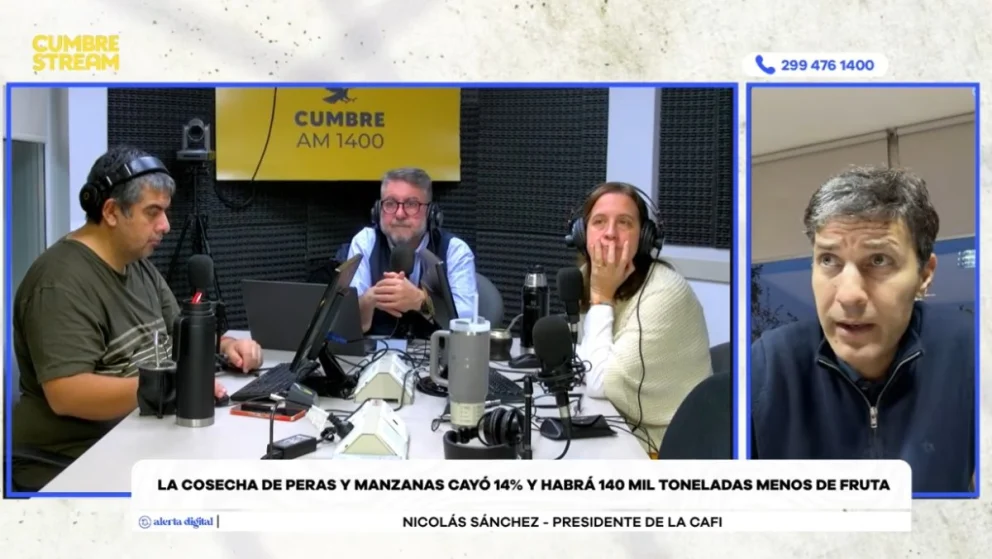 La entrevista con el titular de la CAFI, en el programa "Nada sucede dos veces", con la conducción de los periodistas Mario Nico González, Evangelina Zingoni y Lucas Jara. Foto: captura video Cumbre Stream.