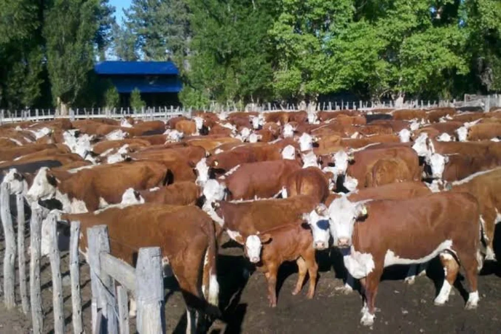 Foto Neuquén Informa.