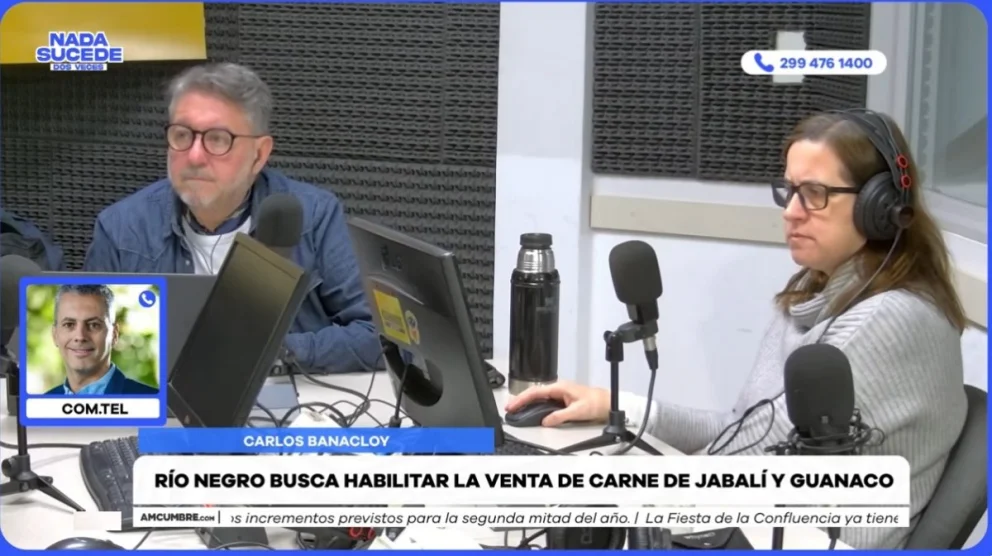 El ministro de Desarrollo Económico, Carlos Banacloy fue entrevistado en el programa "Nada sucede dos veces", por AM Cumbre 1400. Foto: captura de video Cumbre Stream