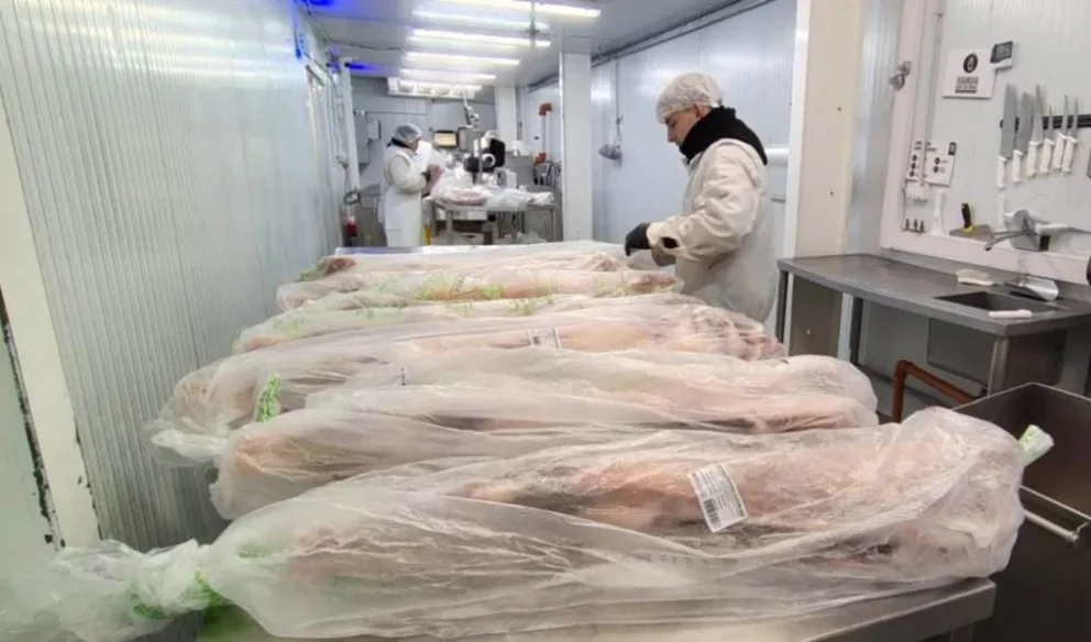En cortes y al vacío se venderá el tradicional chivito neuquino, en un paso más por avanzar en la apertura de mercados. Foto: Neuquén Informa