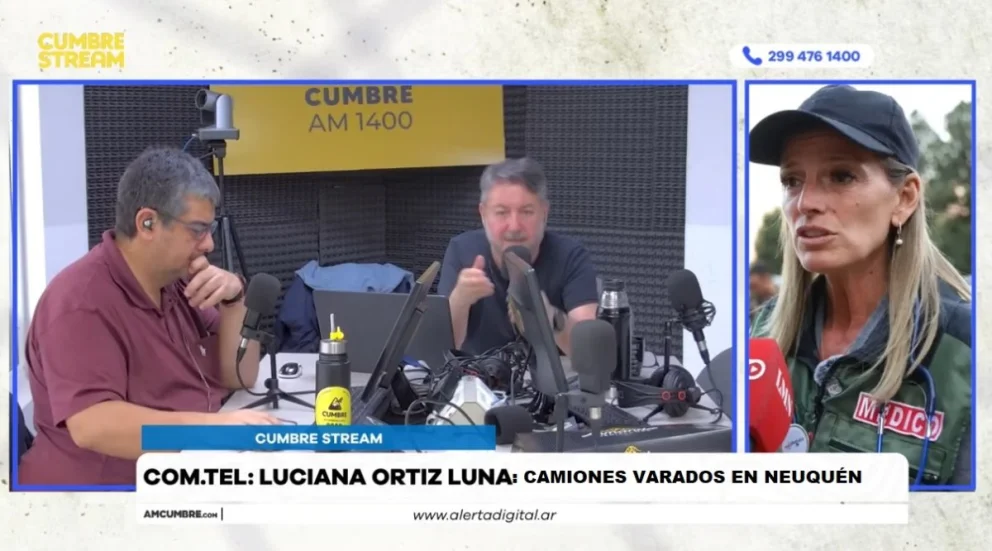 La funcionaria provincial trazó un crítico panorama por la situación climática en Neuquén. Foto: captura de video Cumbre Stream