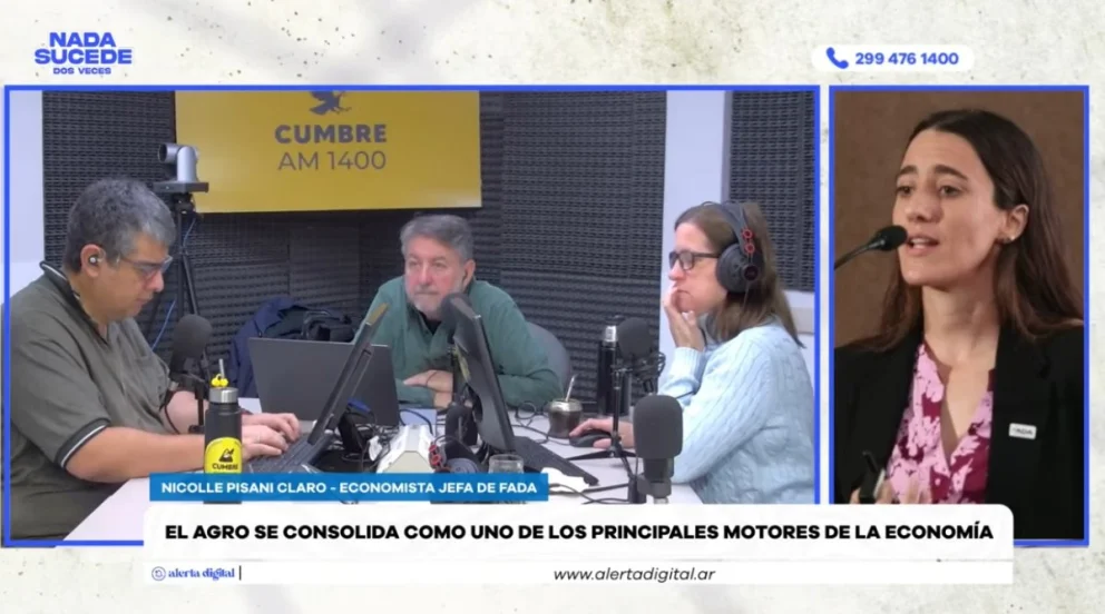 Nicolle Pisani Claro, economista jefa de FADA fue entrevistada en el programa "Nada sucede dos veces", por AM Cumbre 1400. Foto: captura de video Cumbre Stream