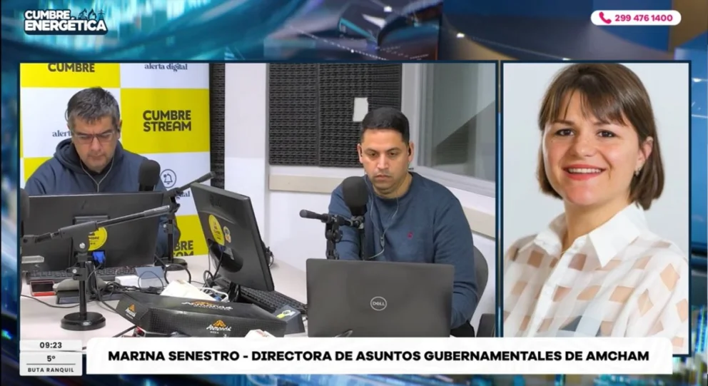 "Pasaron diferentes referentes tanto del sector público como del privado: legisladores, gobernadores, empresarios, representantes del Poder Ejecutivo nacional y el embajador Lamela", comentó. Fuente: Captura Cumbre Stream.