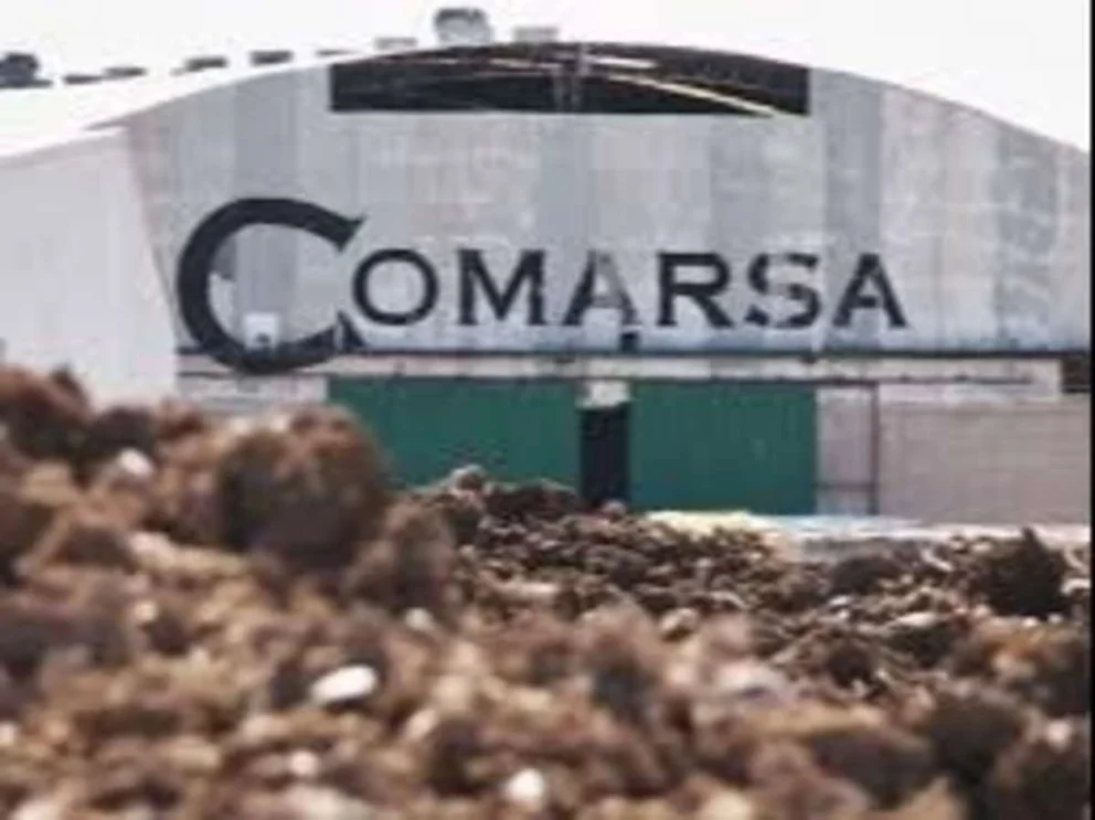 El basurero petrolero COMARSA.