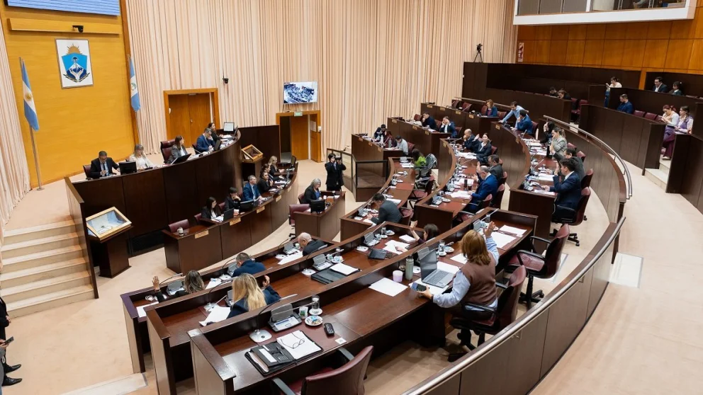 El proyecto enviado por el Ejecutivo provincial fue aprobado por 22 votos a favor y 8 en contra. Foto: Legislatura del Neuquén